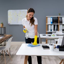 House Cleaning San Diego Ca
